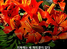 용서받을 수 없는 