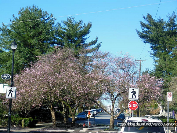 커피숍여자가 좋아하는 커피숍 거리