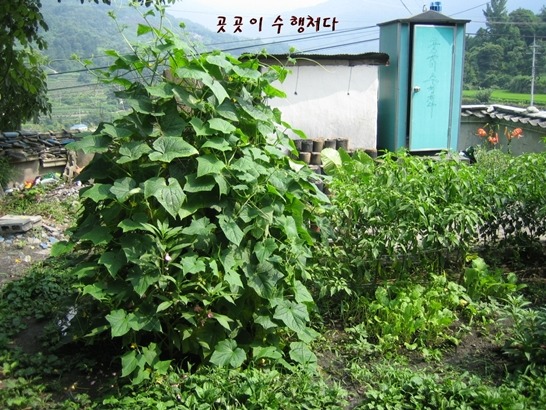 마천골 이미지