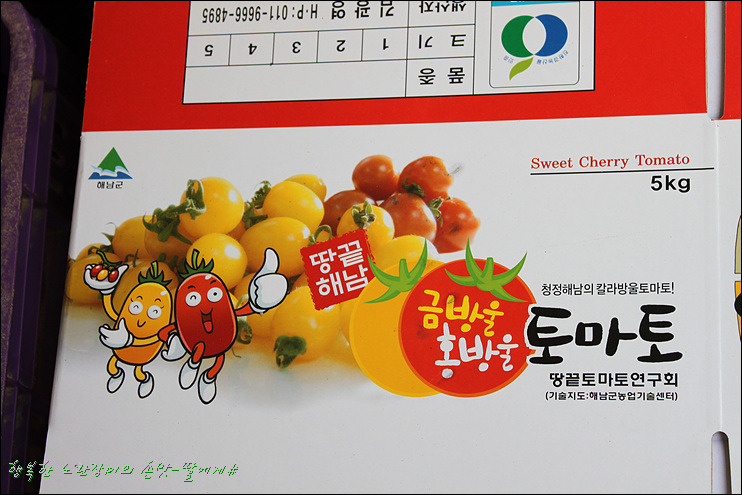 홍칼라 이미지