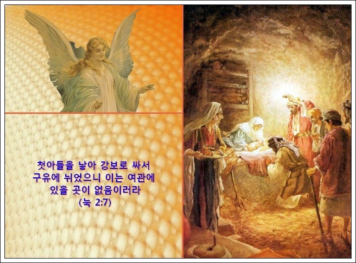 (주)그룬 이미지