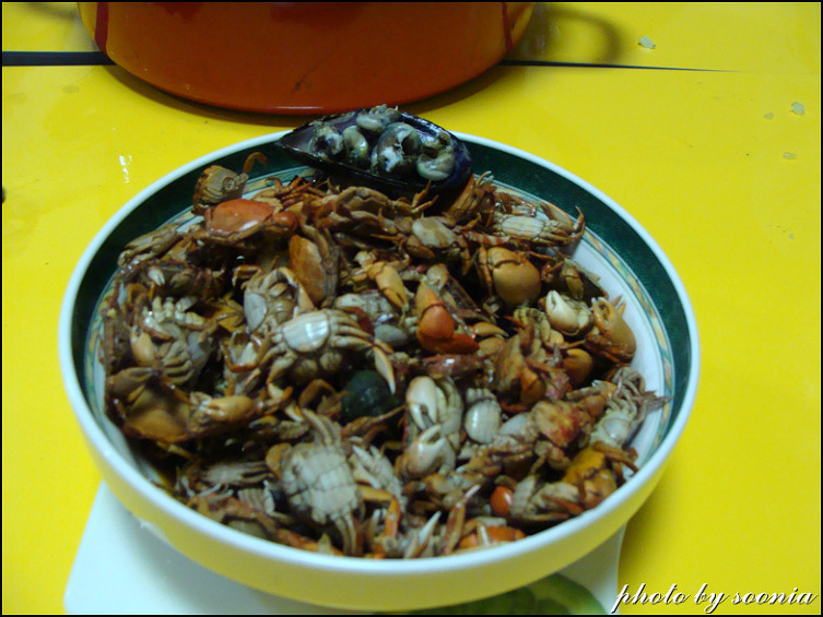 태안에서 직접 잡아 끓이고 볶은 게와 홍합 소라 보말