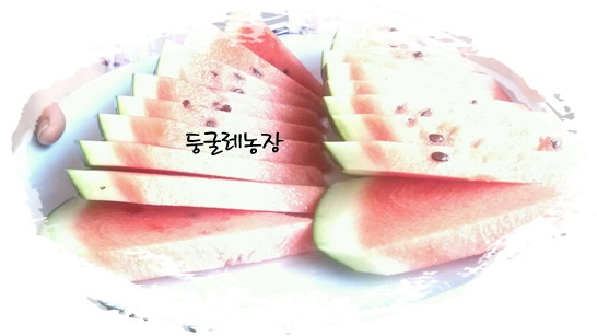 파마하는날 이미지