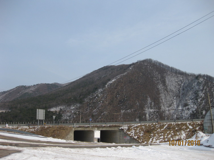새수림매운탕 이미지