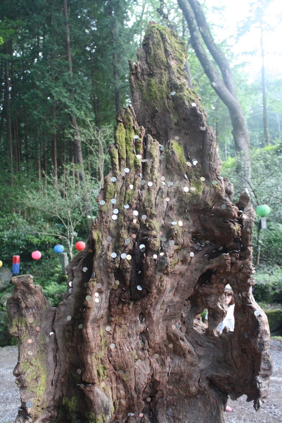 선각당 이미지