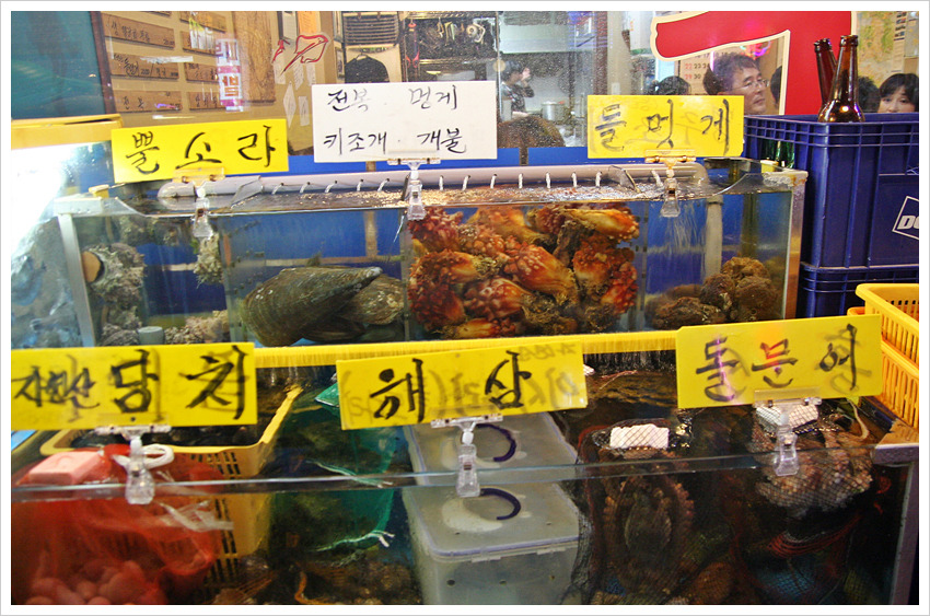 바다마차 이미지