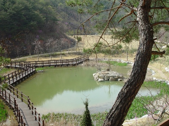 경상북도산림생태과학원 이미지