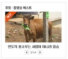신기한 인도의 청소부는 사람이 아니라 짐승이다