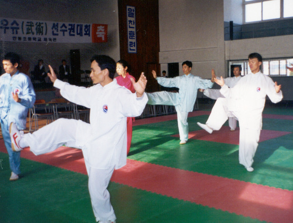 태극권 관련 행사 사진