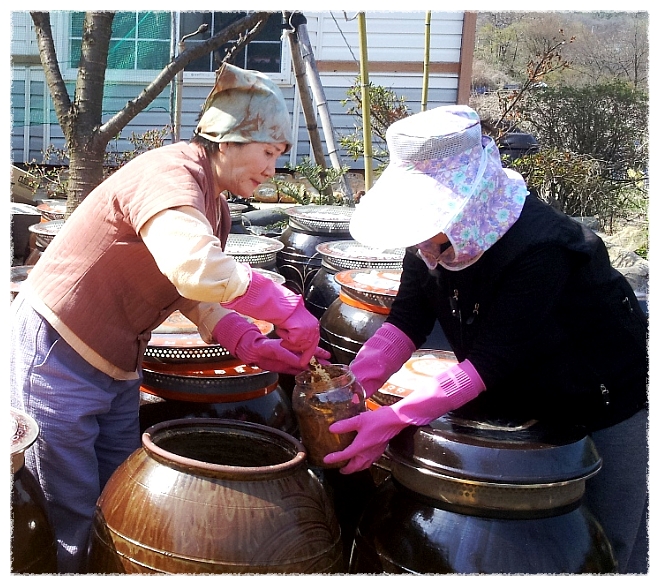 방정현의 고향 장마을, 길일에 장 담그기..