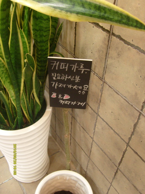 정항우케익커피 이미지