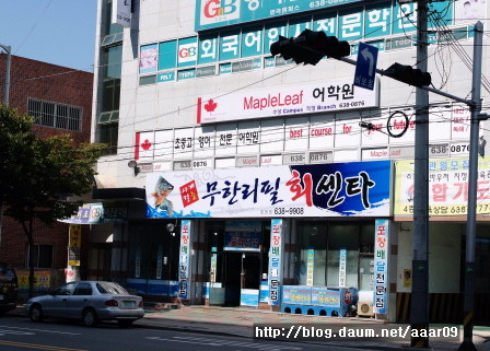 사계절물회 이미지