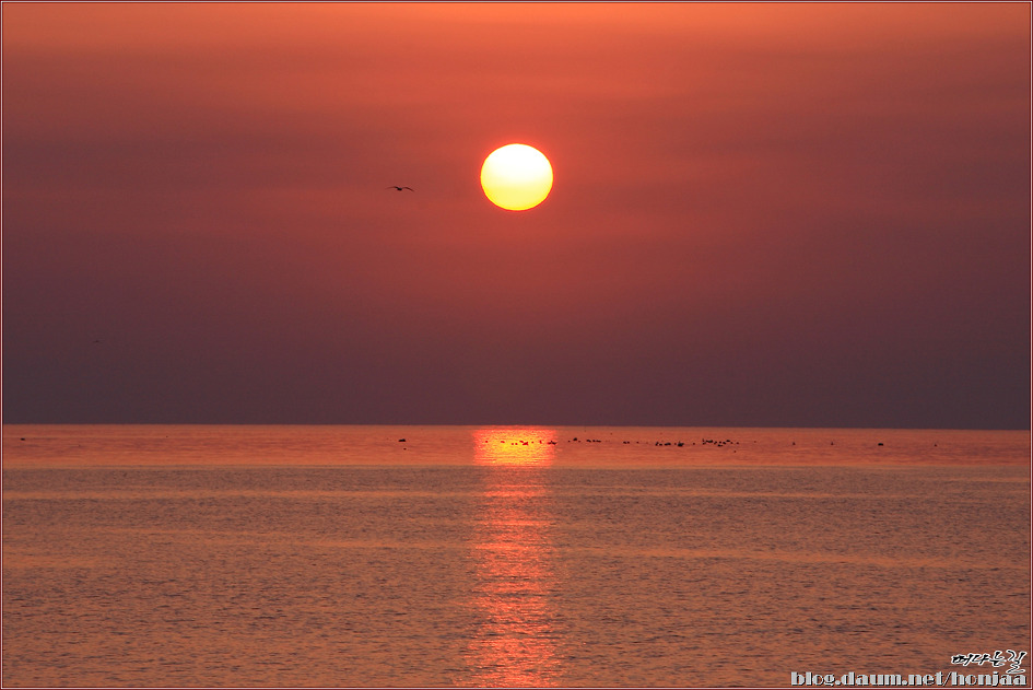 거제도 일출(남부면 갈곶리)