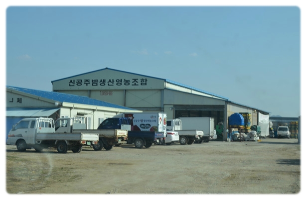신공주밤생산영농조합 이미지