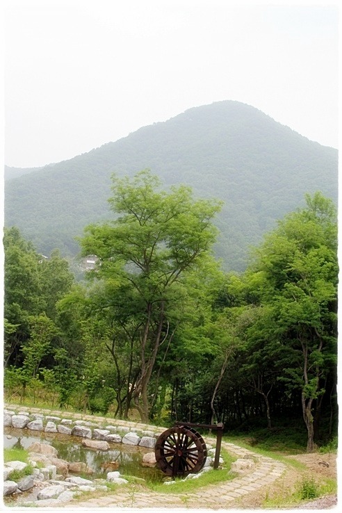 숲속유치원 이미지