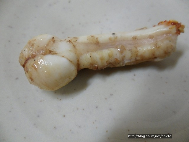 까치네 이미지