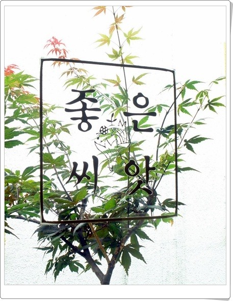 좋은씨앗 이미지
