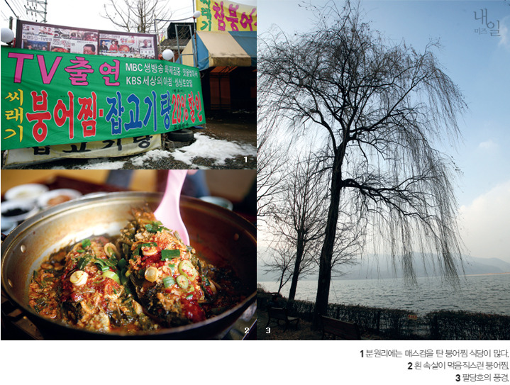 진달래가 필때 제일 맛있는 퇴촌 분원리 붕어찜