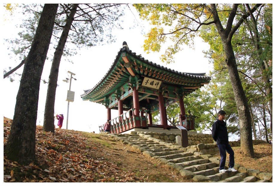 황의정승이 기러기를 벗삼아 놀았다는 반구정