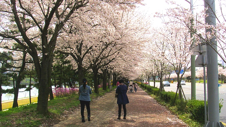 217CBC36551E37F0246B03