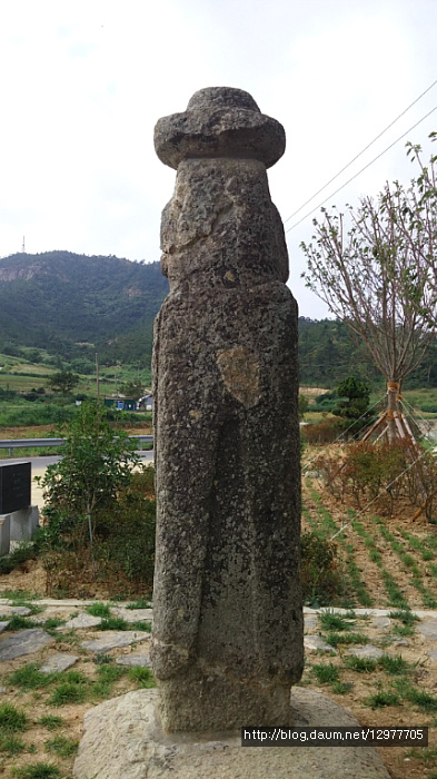 고란 이미지