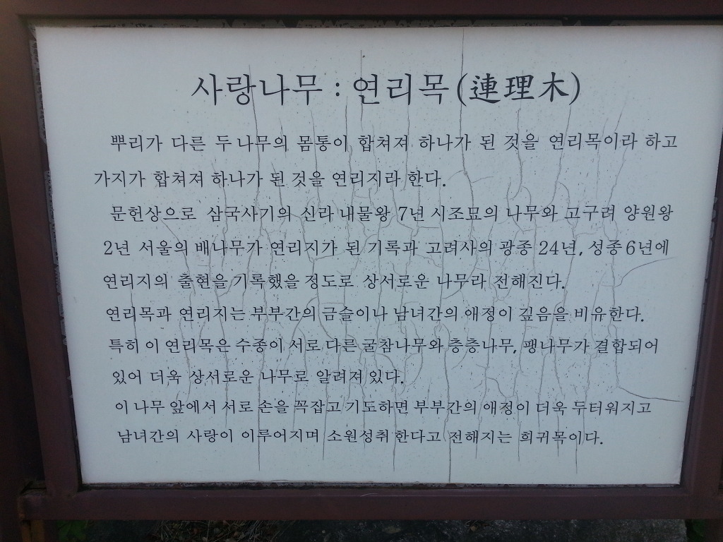 지리산 둘레길 4구간과 함양 상림공원(14.10.25~10.26)