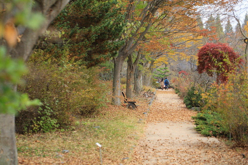 가을에 꼭 가보고 싶은곳 경상남도수목원 / 진주수목원 경남수목원