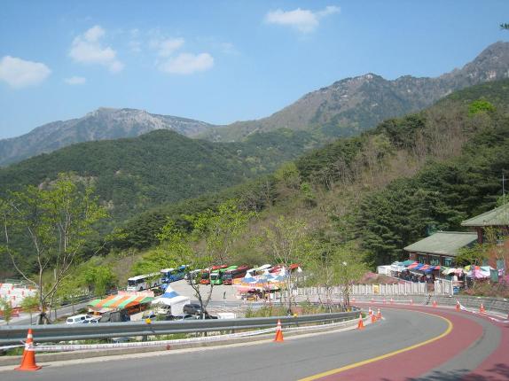 비슬산 참꽃