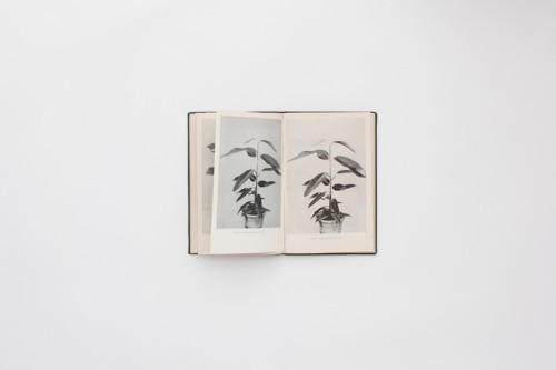  헤어질 때 더 다정한 쪽이 덜 사랑한 사람이다 | 인스티즈