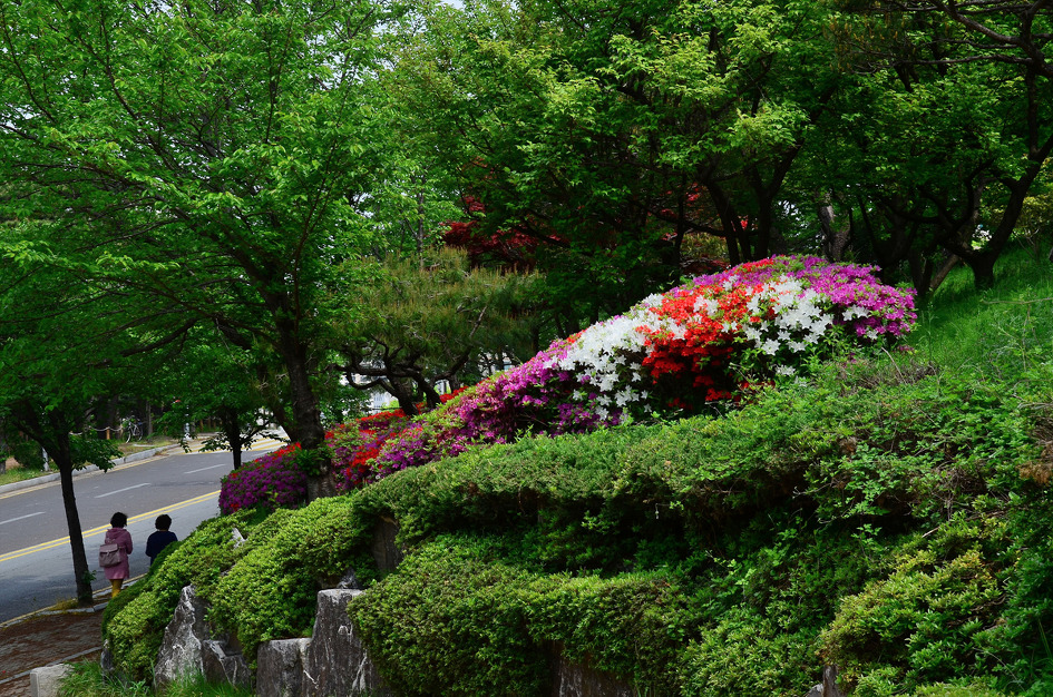 지나칠수 없었다.