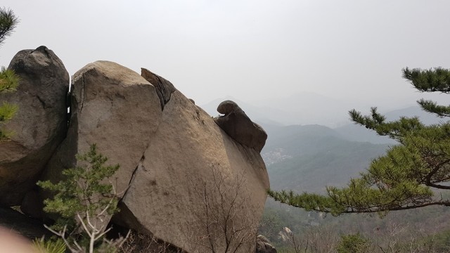 산 /함민복