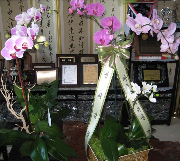 233F333351DB3C060B5AA8