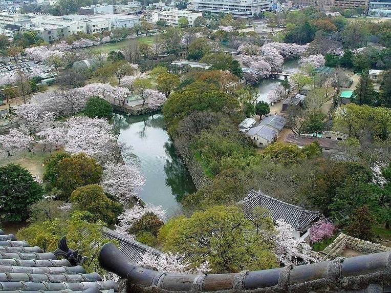 235AD14B52A50E0C198C01