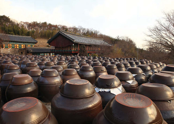 자연을담는사람들 이미지