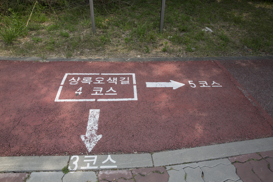 산책하기 좋은 안산습지생태공원 / 안산둘레길, 갈대습지길