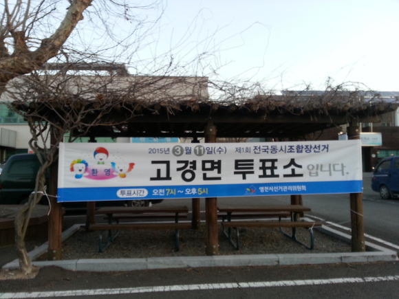 제1회 전국 동시 조합장 선거 결과(영천시)
