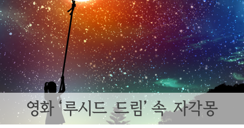 루시드드림 이미지
