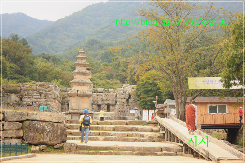 충주 미륵대원지...2014년 10월.