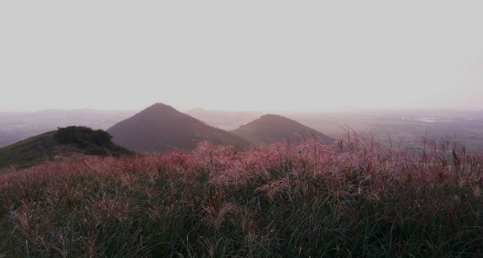 이루다제주 이미지