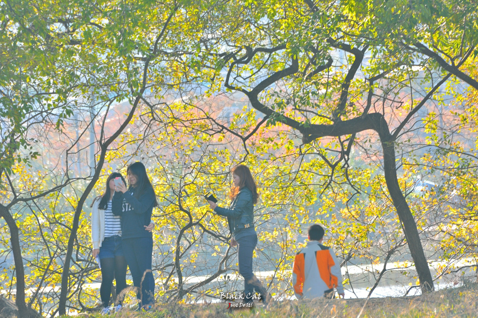 마음이 머물러 길이되다(DAY 121)-경산 반곡지 가을