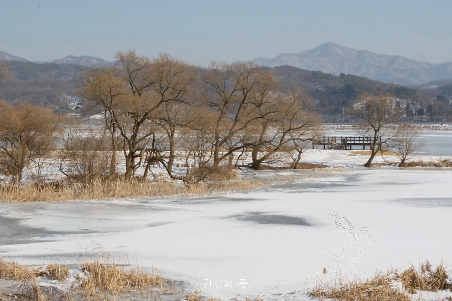 설경