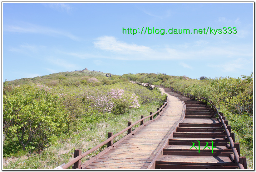 지리산 노고단...2015년 5월