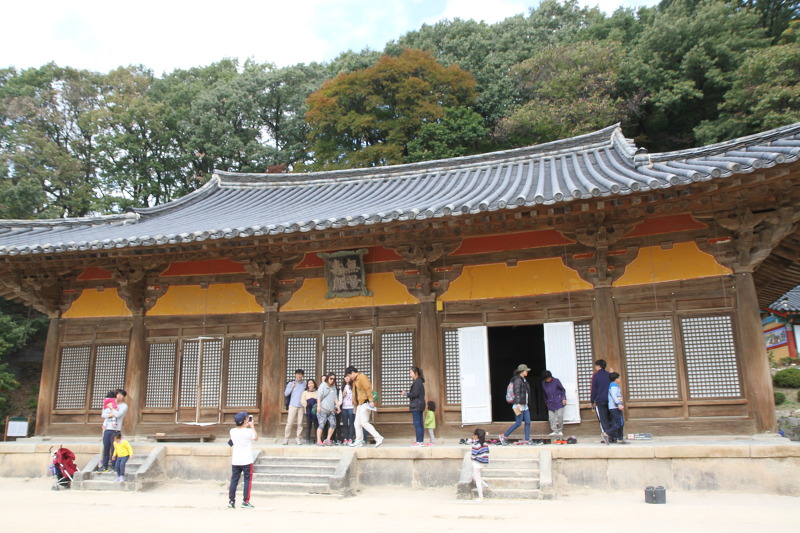 http://cfile231.uf.daum.net/image/25666B335632C3F306F224