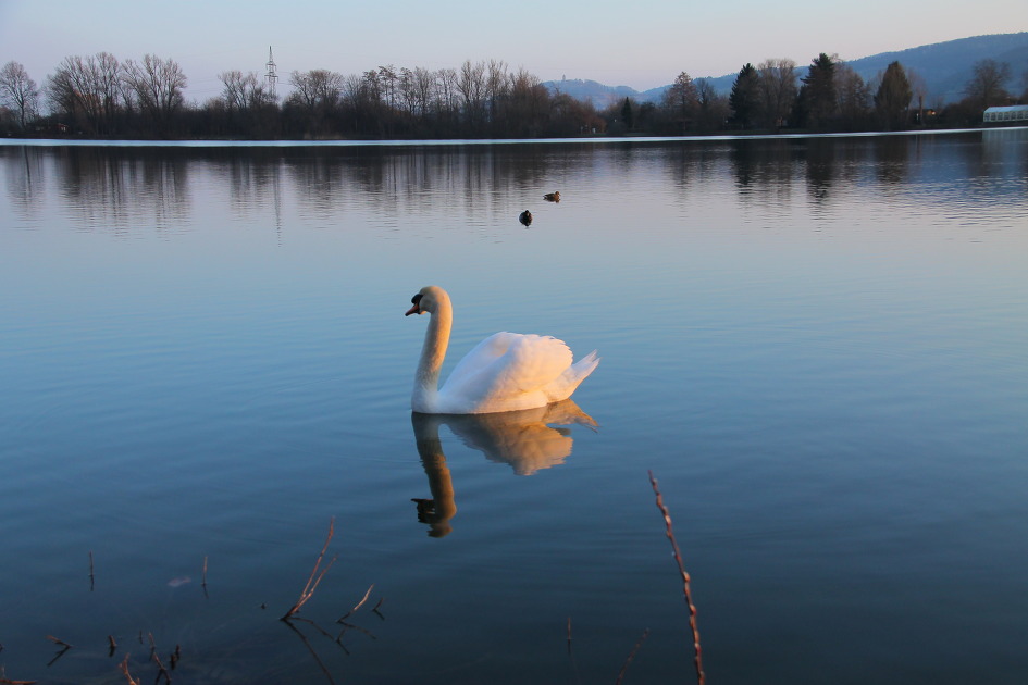 독일-프랑크푸르트 자그마한 호수