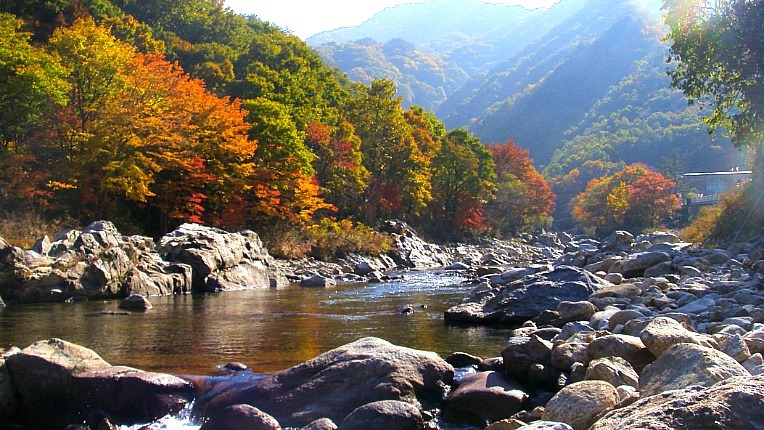 27480A3E526D233318F148