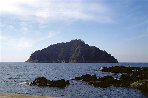 탐라귤빛 이미지