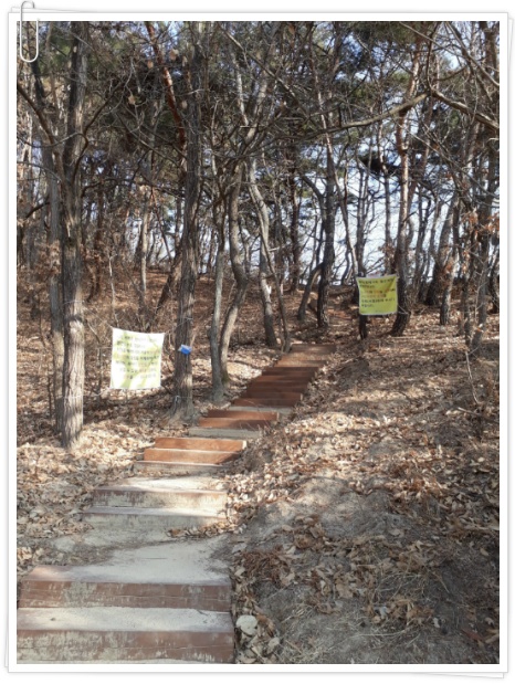 (여주게스트하우스 산새랑) 여주 강천면 해돋이 행사