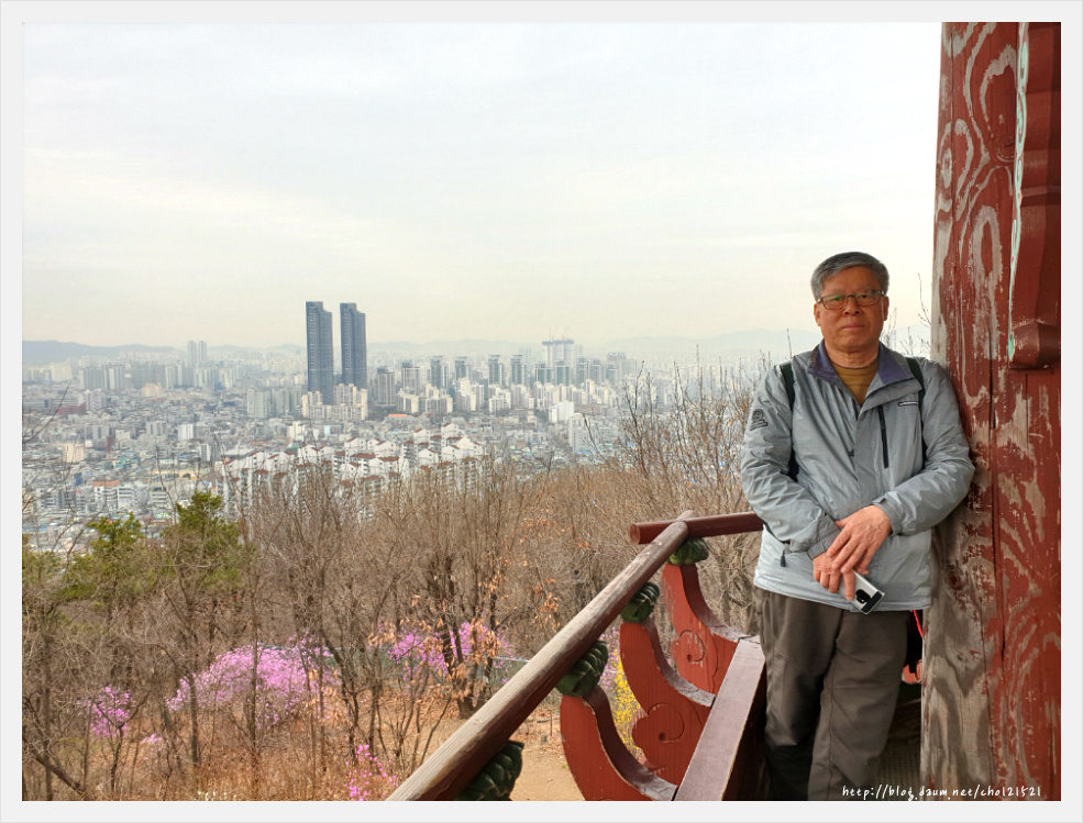 부천 원미산 진달래축제를 가다 ^^
