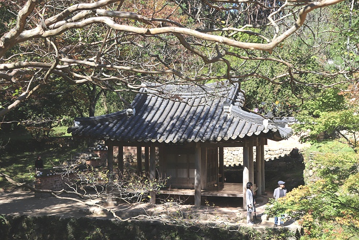 원본이미지(클릭)