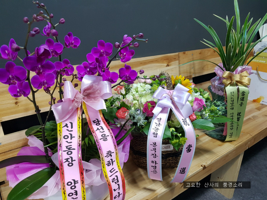 남편의 도의원 당선을 축하하며, 삼세판 승! 